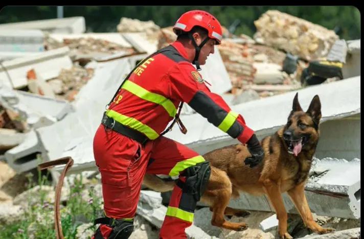 Brigada de España ayudando en Venezuela.